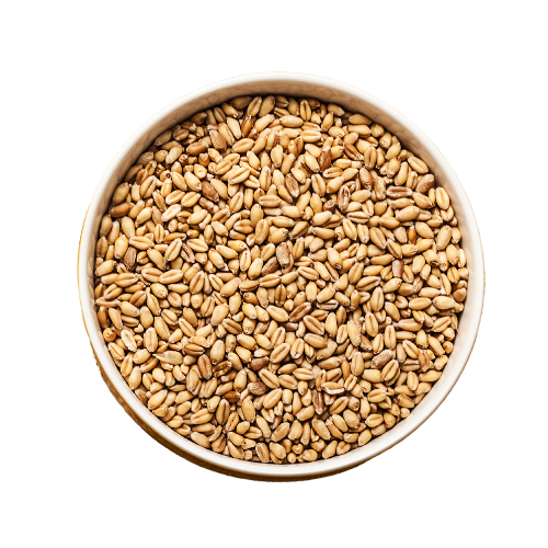 wheat export images